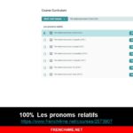 French video course: 100% Les pronoms relatifs